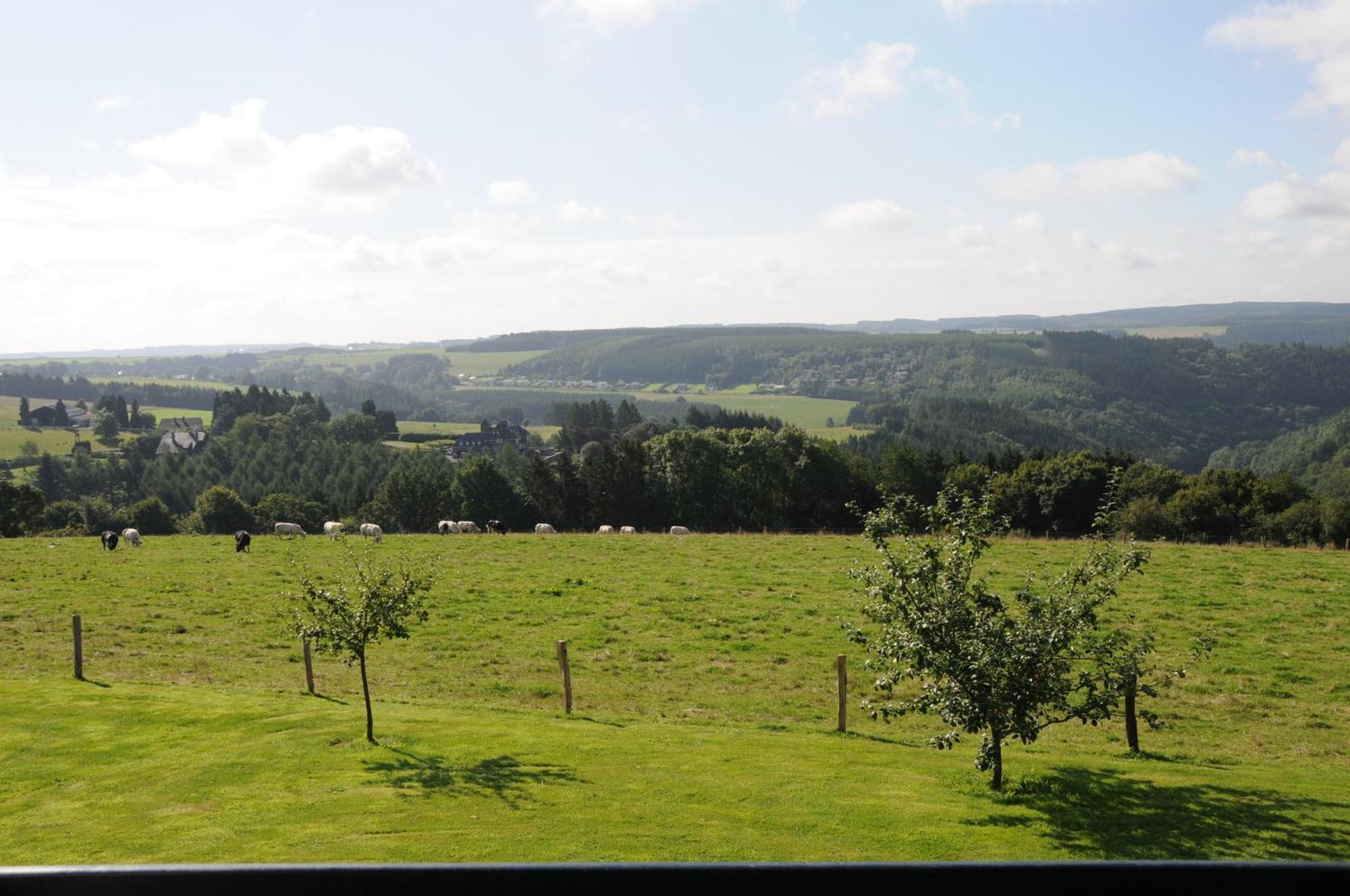 Le Panorama Apartment Nadrin