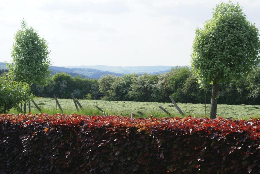Le Panorama Nadrin
